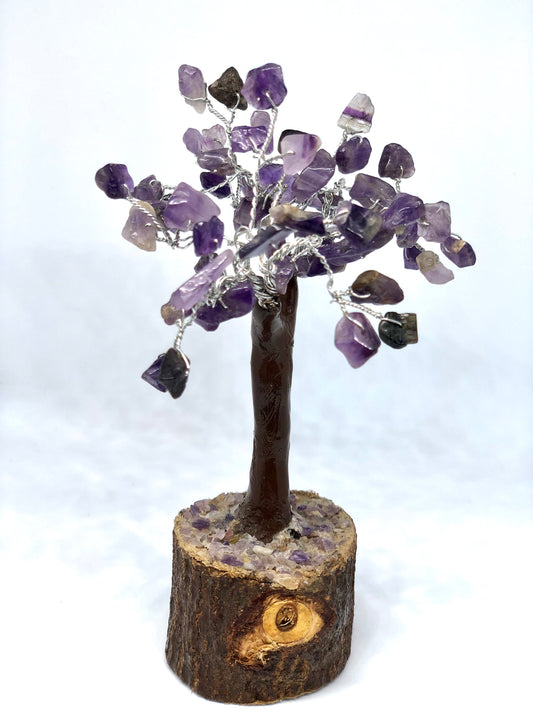 Money magnet tree
